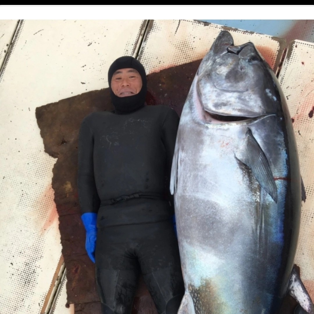 472697682_122093546234725938_3078036918454843573_n